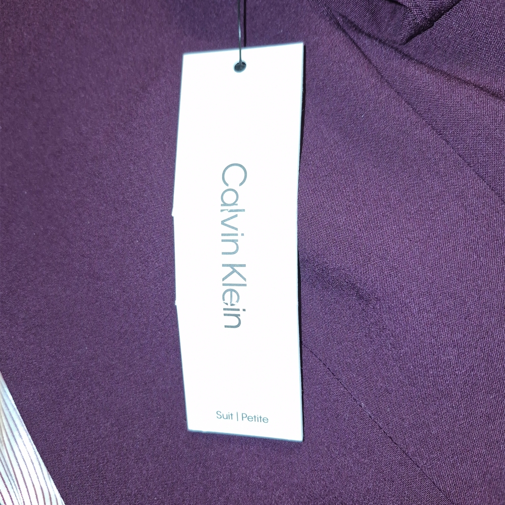 Calvin Klein Purple Suit